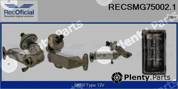 Recoficial RECSMG75002.1 — EGR Module