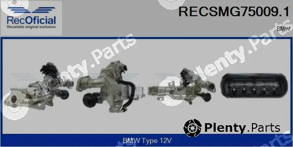 Recoficial RECSMG75009.1 — EGR Module