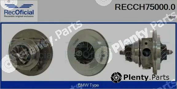 Recoficial RECCH75000.0 — Core assembly, turbocharger