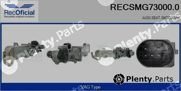 Recoficial RECSMG73000.0 — EGR Module