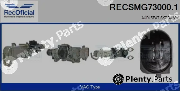 Recoficial RECSMG73000.1 — EGR Module