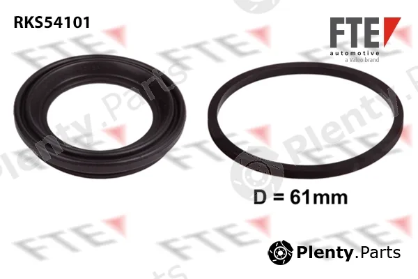 FTE RKS54101 — Seal Kit, brake caliper