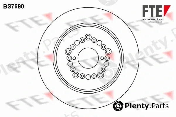 FTE 9072825 — Brake Disc
