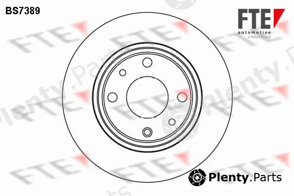 FTE 9072484 — Brake Disc