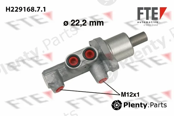 FTE 9220208 — Brake Master Cylinder