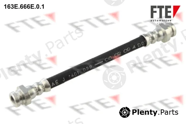FTE 163E.666E.0.1 — Brake Hose