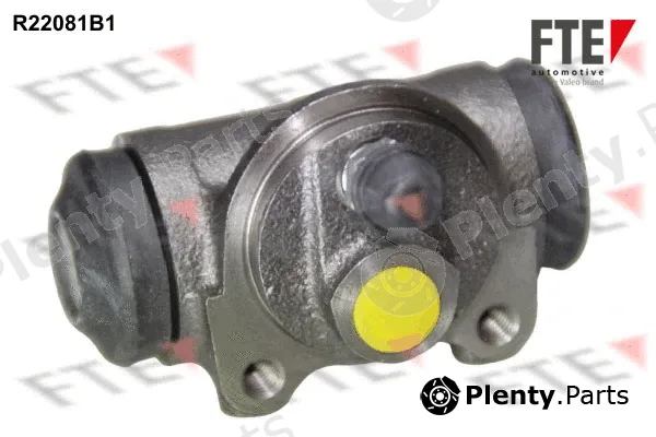 FTE R22081B1 — Wheel Brake Cylinder