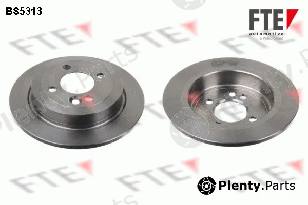 FTE BS5313 — Brake Disc