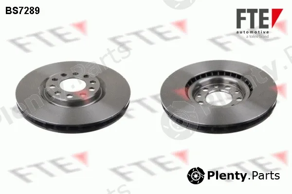 FTE 9071247 — Brake Disc