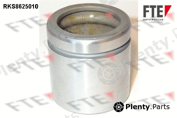 FTE 9313020 — Piston, brake caliper