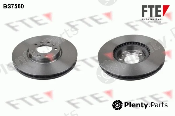 FTE BS7560 — Brake Disc