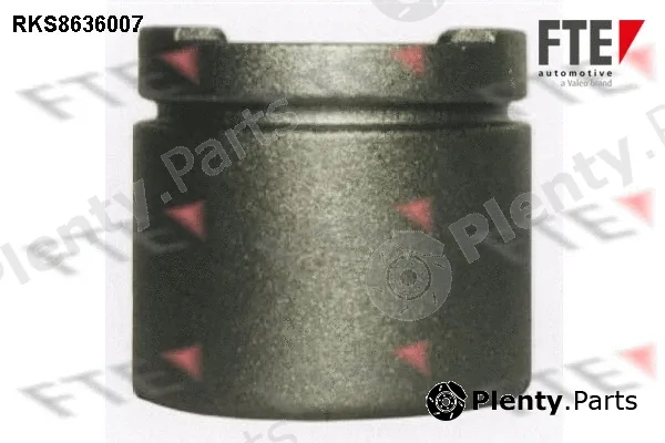 FTE RKS8636007 — Piston, brake caliper