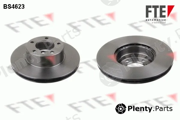 FTE 9071013 — Brake Disc