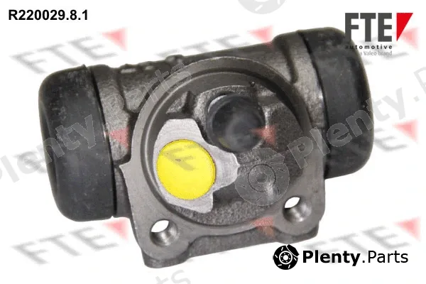 FTE R220029.8.1 — Wheel Brake Cylinder