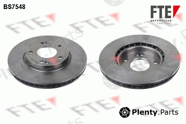FTE 9072546 — Brake Disc