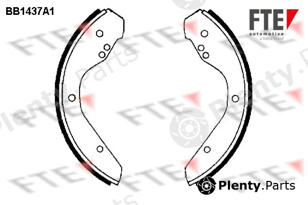 FTE 9100161 — Brake Shoe Set