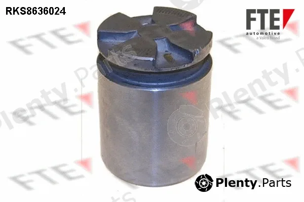 FTE 9313059 — Piston, brake caliper