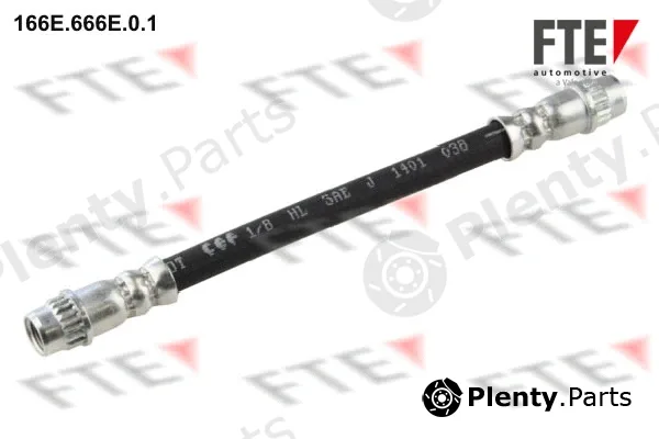 FTE 166E.666E.0.1 — Brake Hose