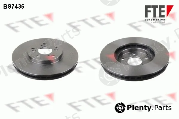 FTE BS7436 — Brake Disc
