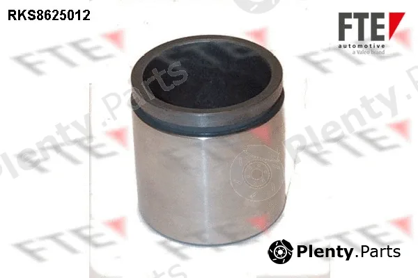 FTE 9313219 — Piston, brake caliper
