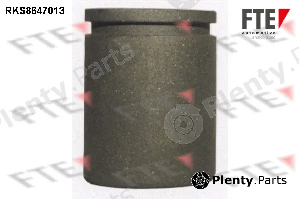 FTE 9313076 — Piston, brake caliper