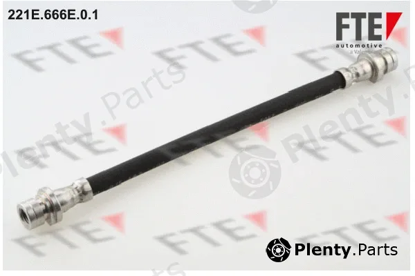 FTE 221E.666E.0.1 — Brake Hose
