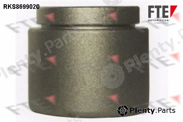 FTE RKS8699020 — Piston, brake caliper