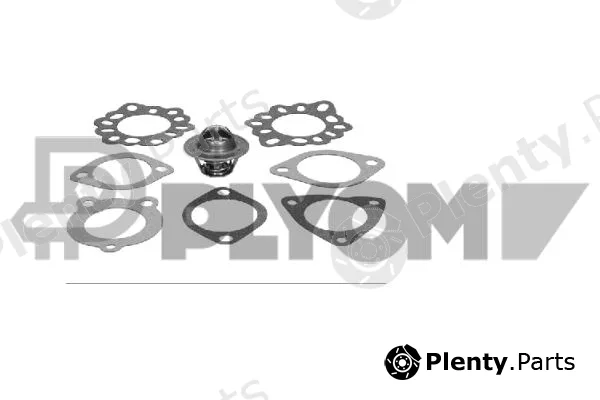 Plyom P770196 — Thermostat, coolant