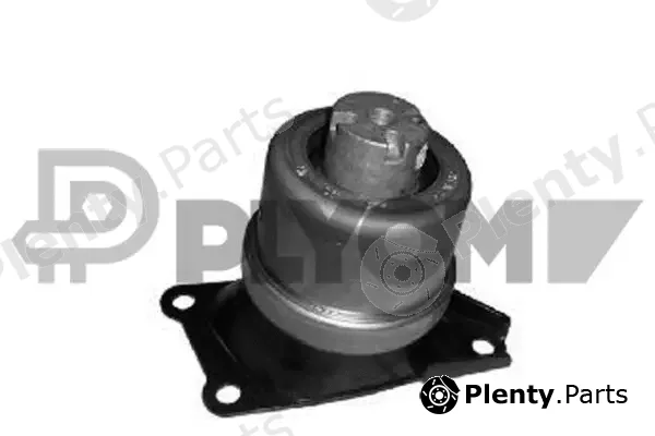 Plyom P756460 — Mounting, engine
