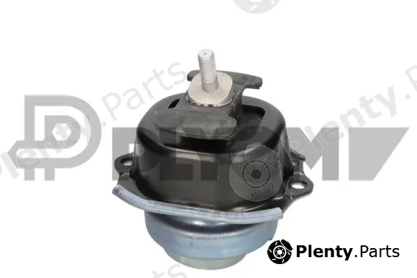 Plyom P776581 — Mounting, engine