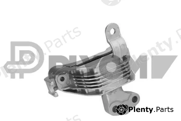 Plyom P756295 — Mounting, engine
