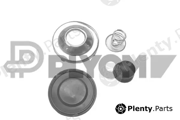 Plyom P750256 — Fuel Filter