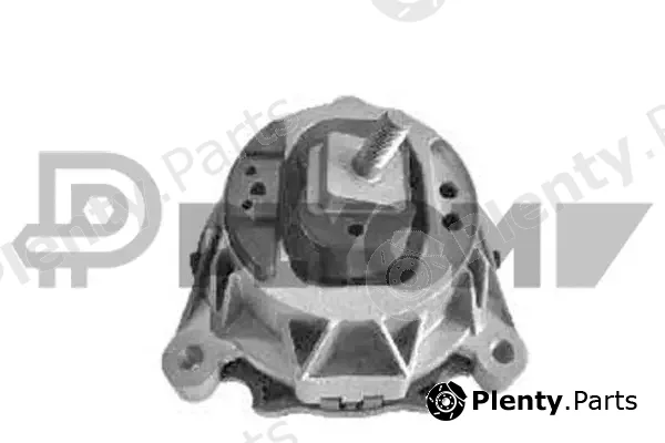 Plyom P769970 — Mounting, engine