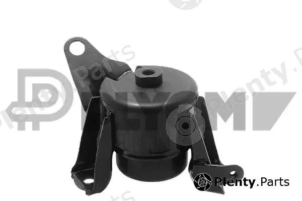 Plyom P769419 — Mounting, engine
