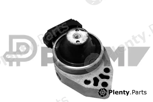 Plyom P756496 — Mounting, engine