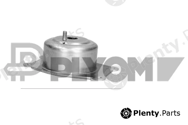 Plyom P482527 — Mounting, engine