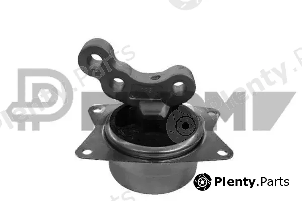 Plyom P755969 — Mounting, engine