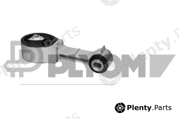Plyom P021509 — Mounting, engine