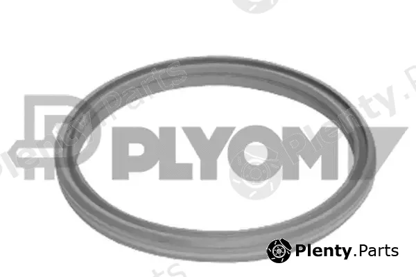 Plyom P751989 — Seal Ring, charger