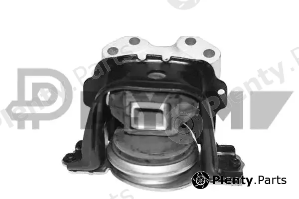 Plyom P756059 — Mounting, engine