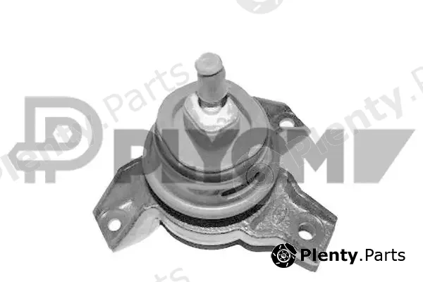 Plyom P770419 — Mounting, engine