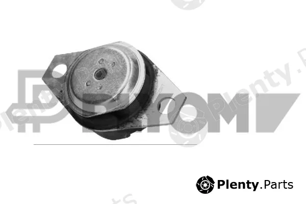 Plyom P756123 — Mounting, engine
