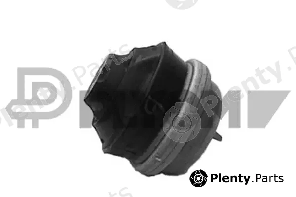 Plyom P180153 — Mounting, engine