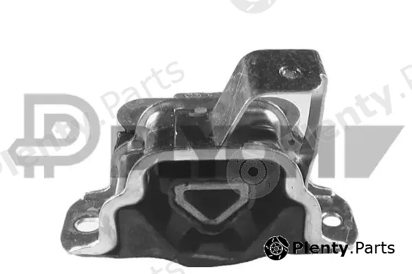 Plyom P756196 — Mounting, engine