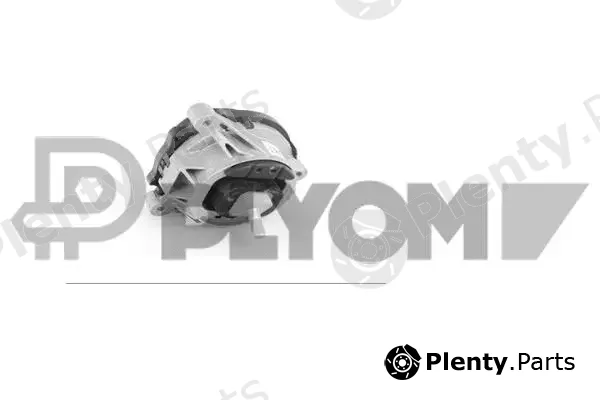 Plyom P769281 — Mounting, engine