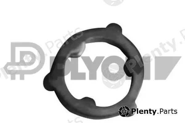Plyom P750028 — Seal Ring, injector