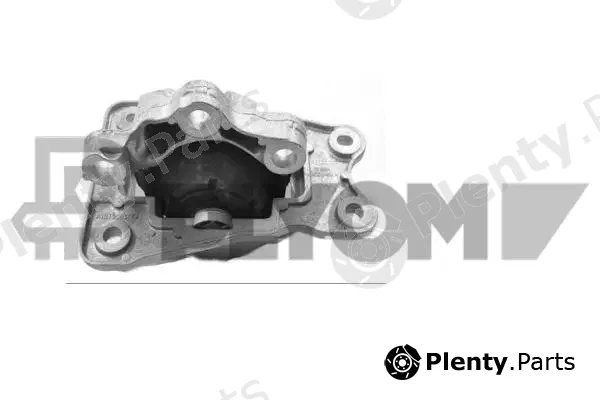 Plyom P760649 — Mounting, engine
