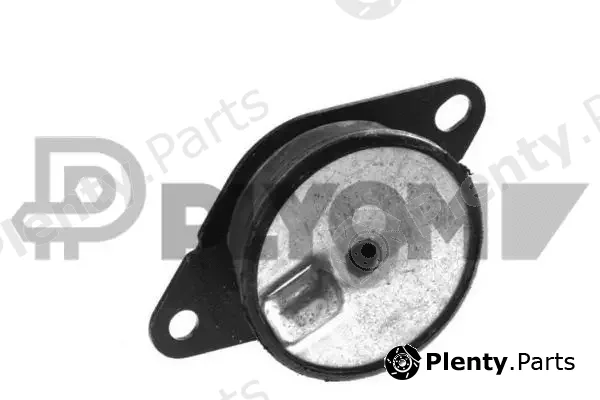 Plyom P770836 — Mounting, engine
