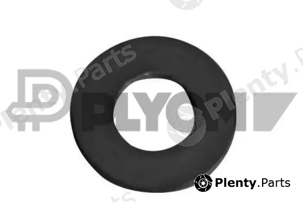 Plyom P750021 — Seal Ring, injector