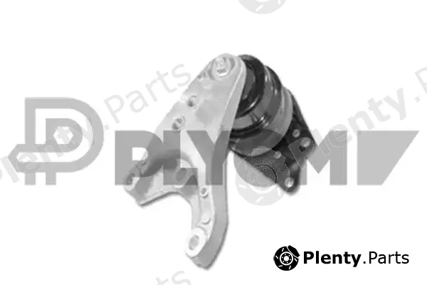 Plyom P461132 — Mounting, engine